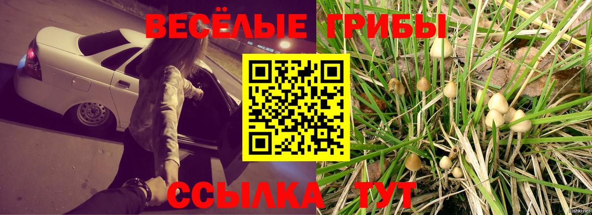 купить наркотик  Псилоцибиновые грибы Cubensis  Псилоцибиновые грибы ЛСД  Вход с VPN  Туймазы 